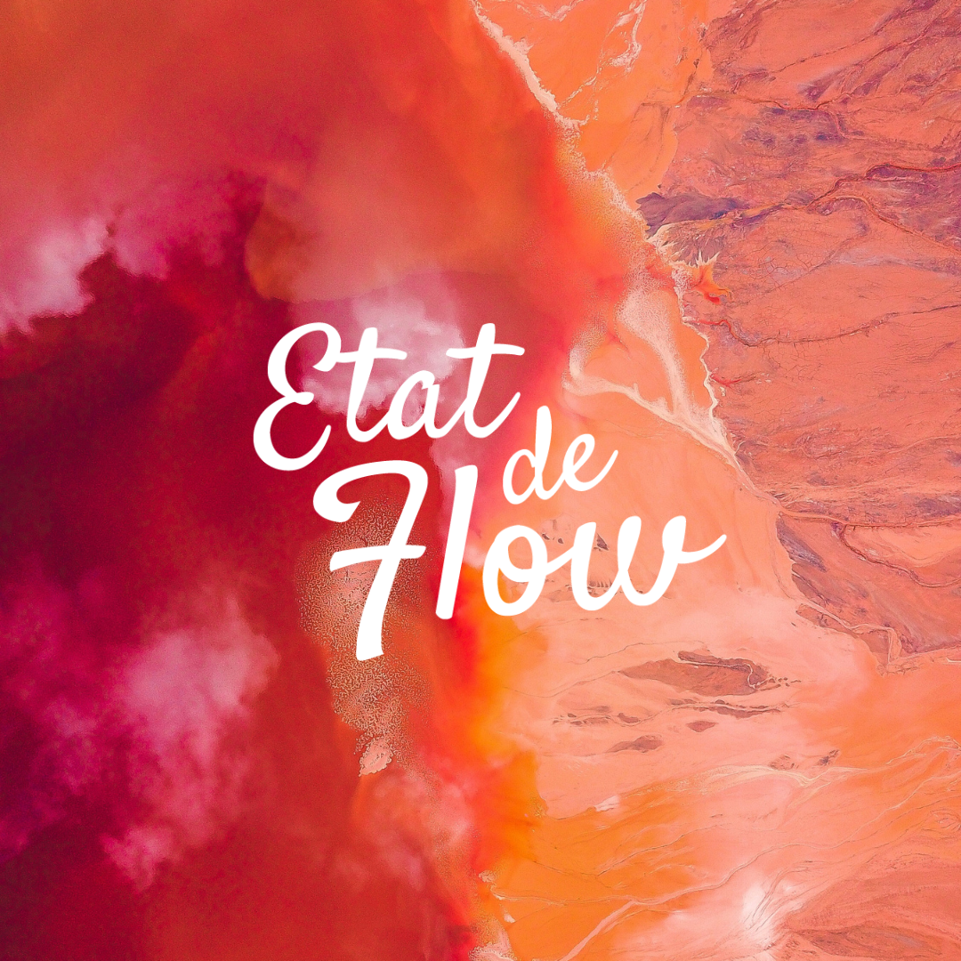 Élisabeth SMEYSTERS - ÉTAT DE FLOW